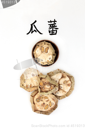 Image of Chinese Cucumber Herb