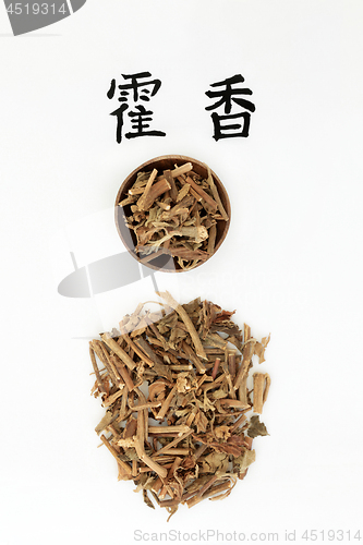 Image of Korean Mint Herb