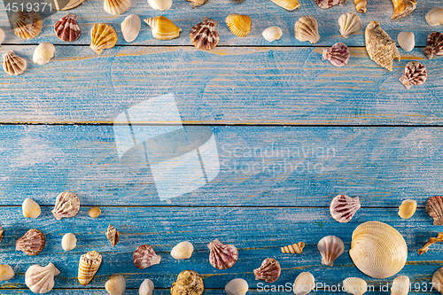 Image of Summer time concept with sea shells on a blue wooden background