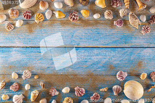 Image of Summer time concept with sea shells on a blue wooden background 