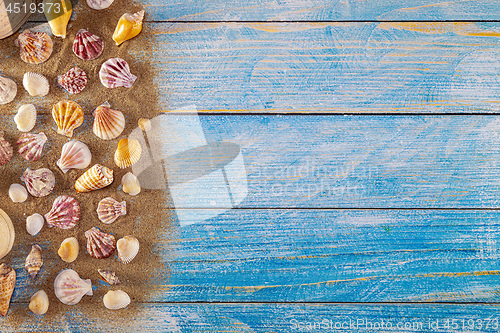 Image of Summer time concept with sea shells on a blue wooden background 