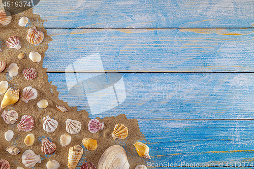 Image of Summer time concept with sea shells on a blue wooden background 