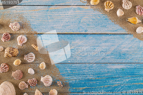 Image of Summer time concept with sea shells on a blue wooden background 