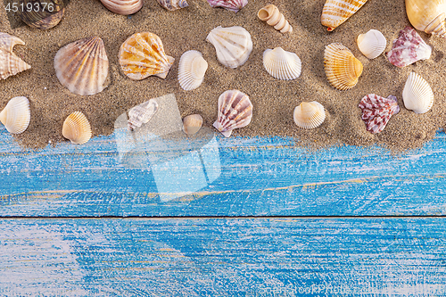 Image of Summer time concept with sea shells on a blue wooden background 