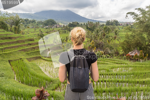 Image of Caucasian female tourist wearing small backpack looking at beautiful green rice fields and terraces of Jatiluwih on Bali island