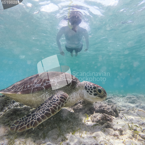 Image of Woman on vacations wearing snokeling mask swimming with sea turtle in turquoise blue water of Gili islands, Indonesia. Underwater photo.