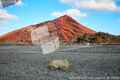 Image of Beautiful landscape of Lanzarote Island