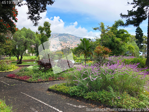 Image of Madeira island, Portugal