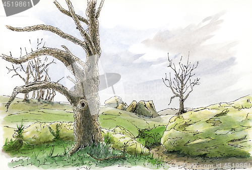 Image of Landscape with tree. Loose sketch.