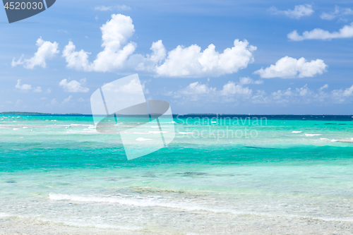 Image of sea and sky on beach in french polynesia