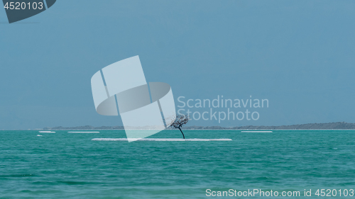 Image of Dead Sea shore with salty beach