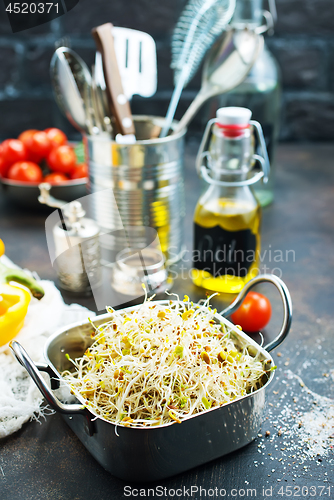 Image of Raw sprouts