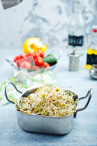 Image of Raw sprouts