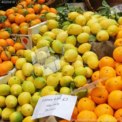 Image of Citrus Fruits