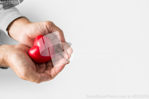 Image of cupped senior man hands with red heart shape