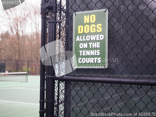 Image of NO DOGS sign tennis court