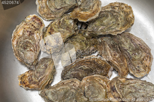 Image of Oysters Bunch