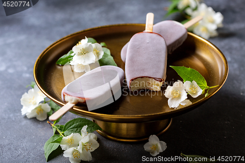 Image of Homemade vanilla popsicle in chocolate glaze.