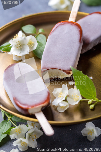 Image of Homemade popsicle in chocolate icing.