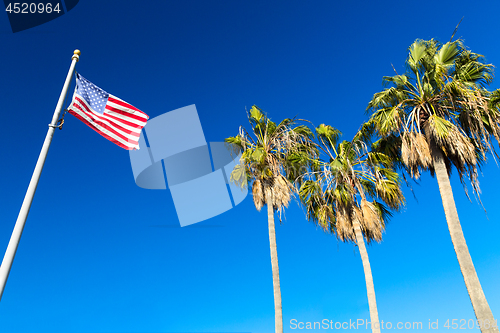 Image of american flag and palm trees at venice beach