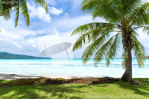 Image of lagoon and mountains in french polynesia