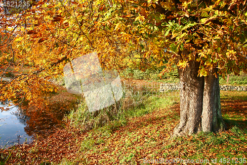 Image of autumn in Denmark