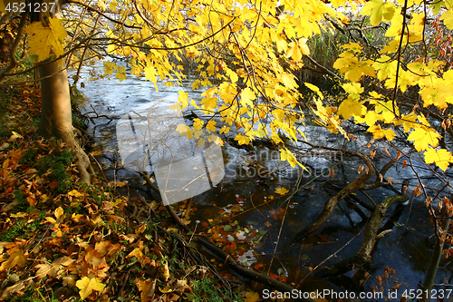 Image of autumn in Denmark