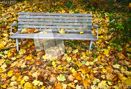 Image of beanch with dead leaves in autumn in Denmark