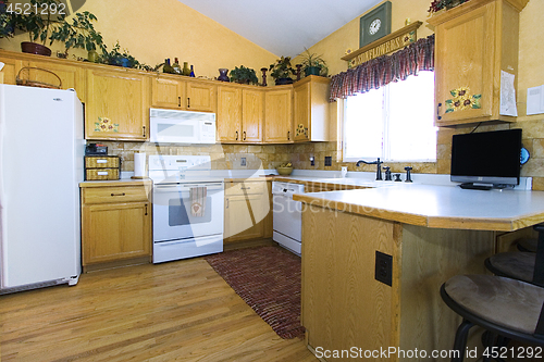 Image of Trendy Modern Kitchen