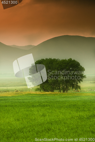 Image of Tree behind a farm