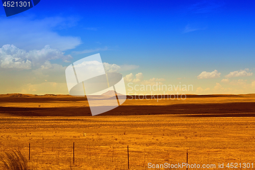 Image of Rural Scene