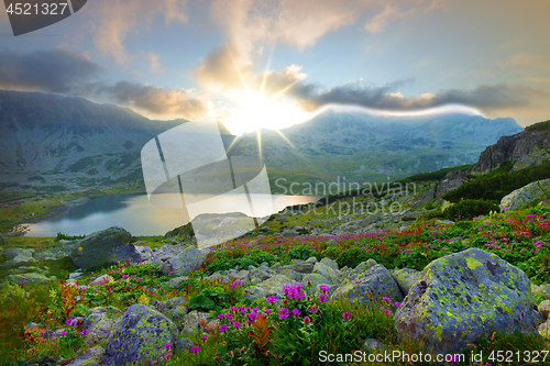 Image of Summer mountain sunset in Retezat National Park