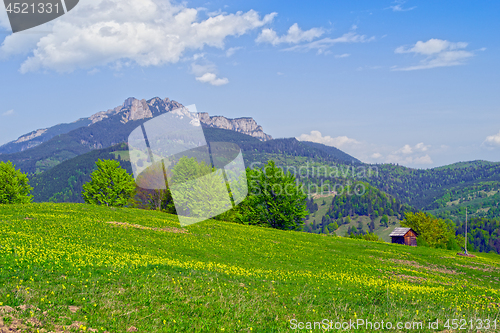 Image of Spring mountain forest and hill