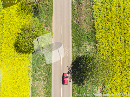 Image of Red car between rape field