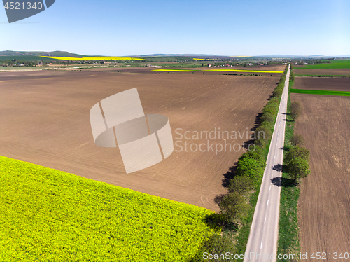 Image of Spring fields and tractor tracks