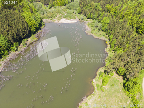 Image of Natural lake in forest