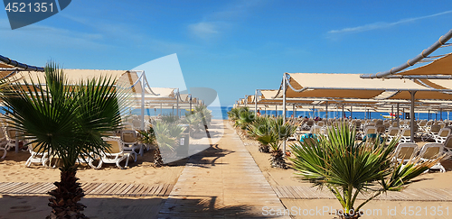 Image of Wood alley on the beach