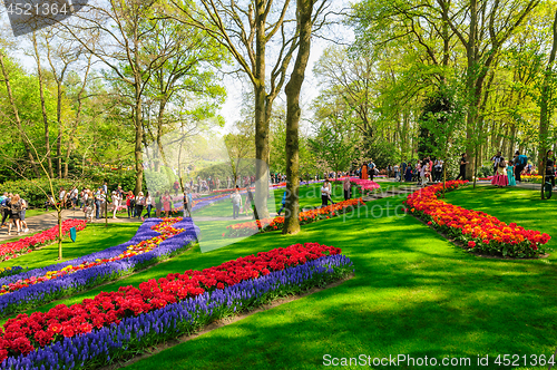 Image of Flower beds of Keukenhof Gardens in Lisse, Netherlands