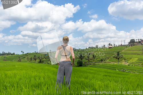 Image of Relaxed casual sporty woman enjoying pure nature at beautiful green rice fields on Bali.