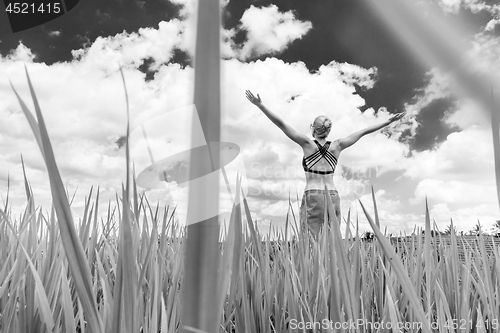 Image of Relaxed healthy sporty woman, arms rised to the sky, enjoying pure nature at beautiful green rice fields on Bali.