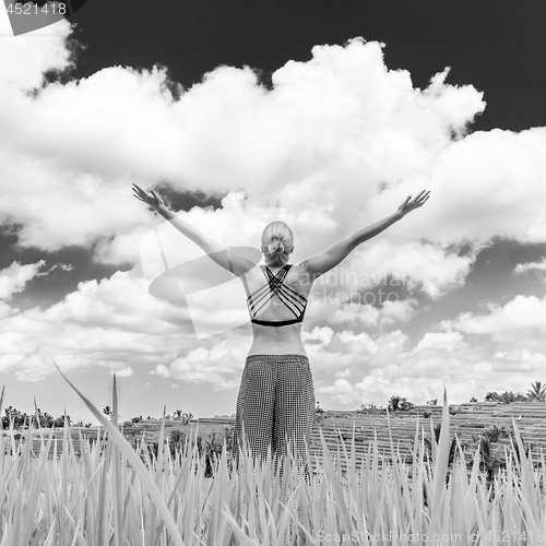 Image of Relaxed healthy sporty woman, arms rised to the sky, enjoying pure nature at beautiful green rice fields on Bali.