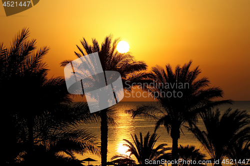 Image of Beautiful seascape with morning sun, beach, and palm trees