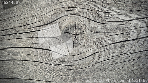 Image of Old weathered wooden texture with rings and cracks