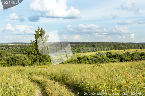 Image of Beautiful summer landscape 