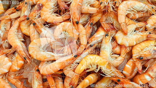 Image of Fresh shrimp on the market
