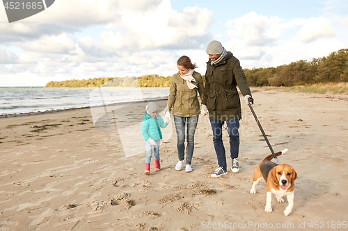 Image of happy family walking with beagle dog on beach