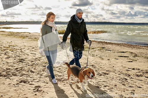 Image of happy couple with beagle dog on autumn beach