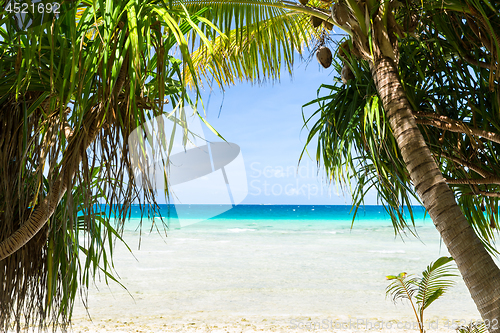 Image of tropical beach with cocopalms in french polynesia