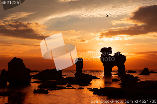 Image of Wild coast