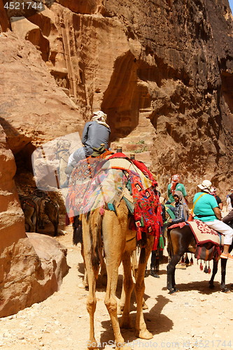 Image of Tombs carved in the rock at Petra, Jordan